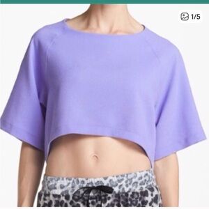 ASTR Periwinkle cropped top
